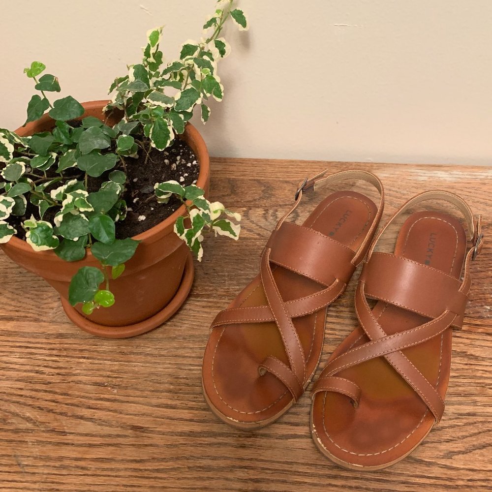 Lucky Brand Brown Leather Sandals